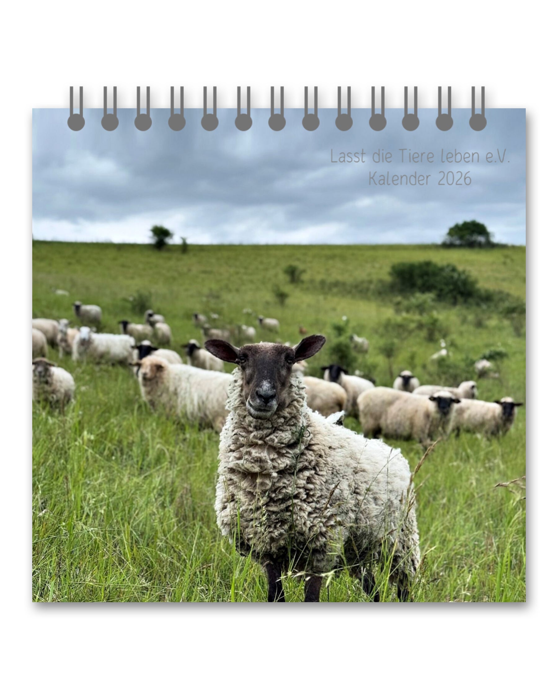 LDTL Tischkalender 2026