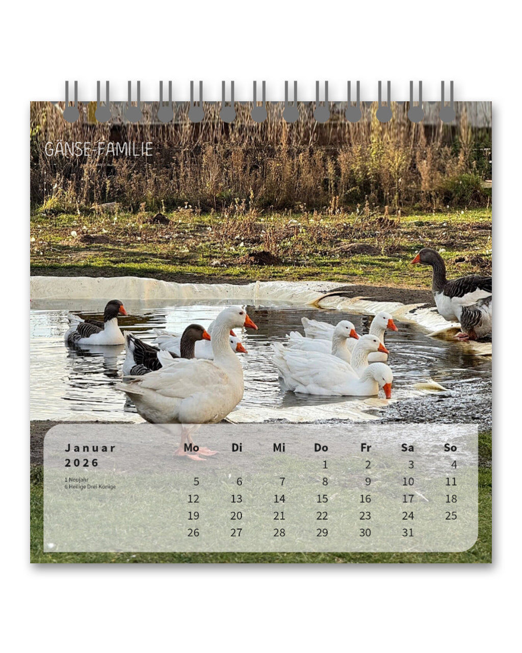 LDTL Tischkalender 2026