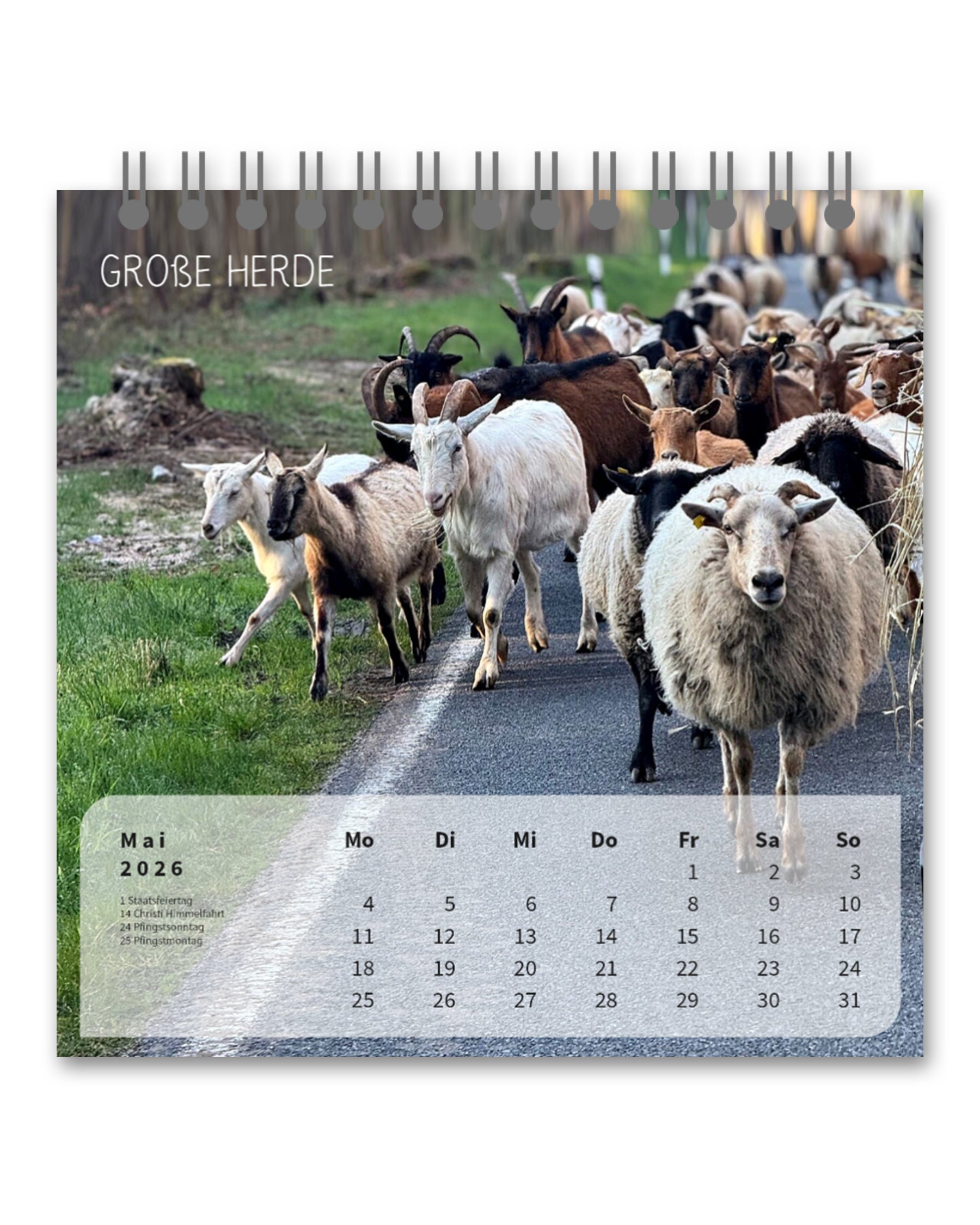 LDTL Tischkalender 2026