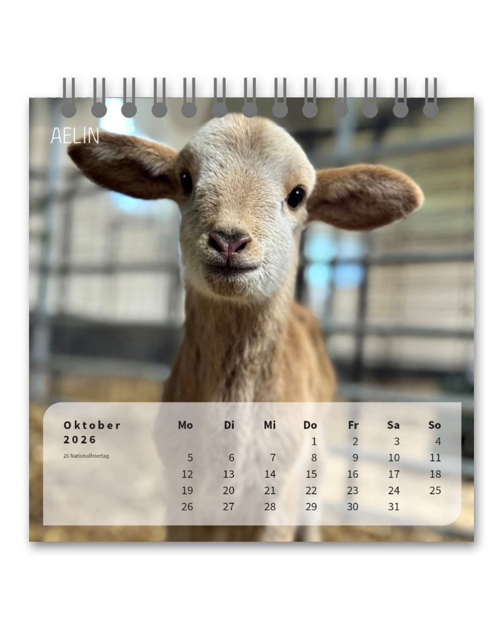 LDTL Tischkalender 2026