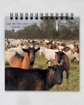 LDTL Tischkalender 2027