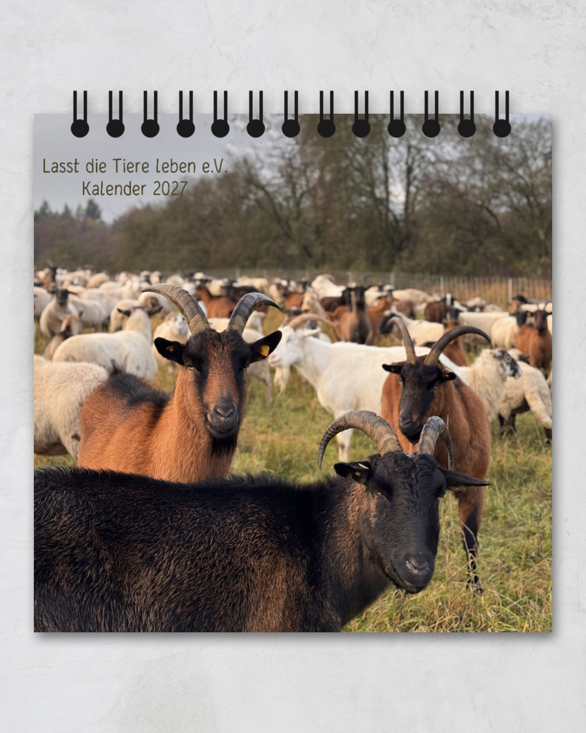 LDTL Tischkalender 2027