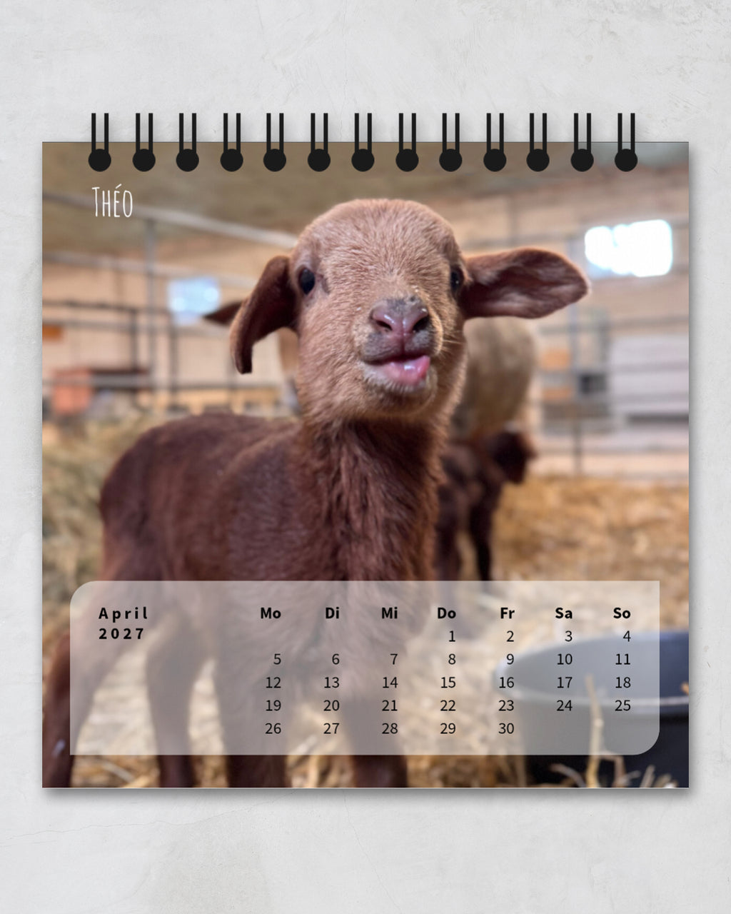 LDTL Tischkalender 2027