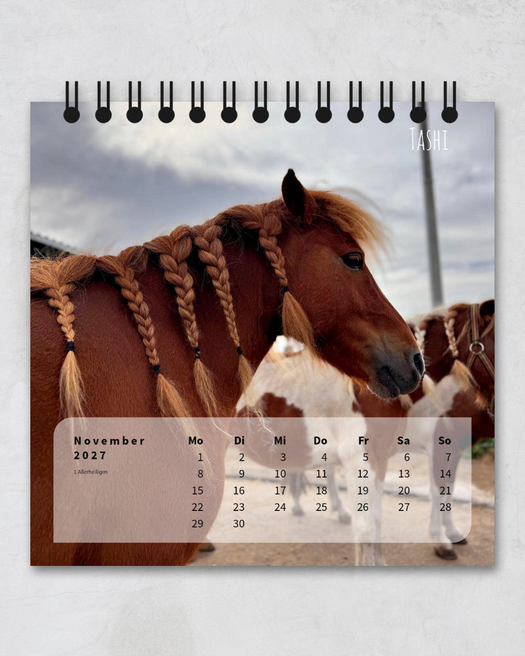 LDTL Tischkalender 2027