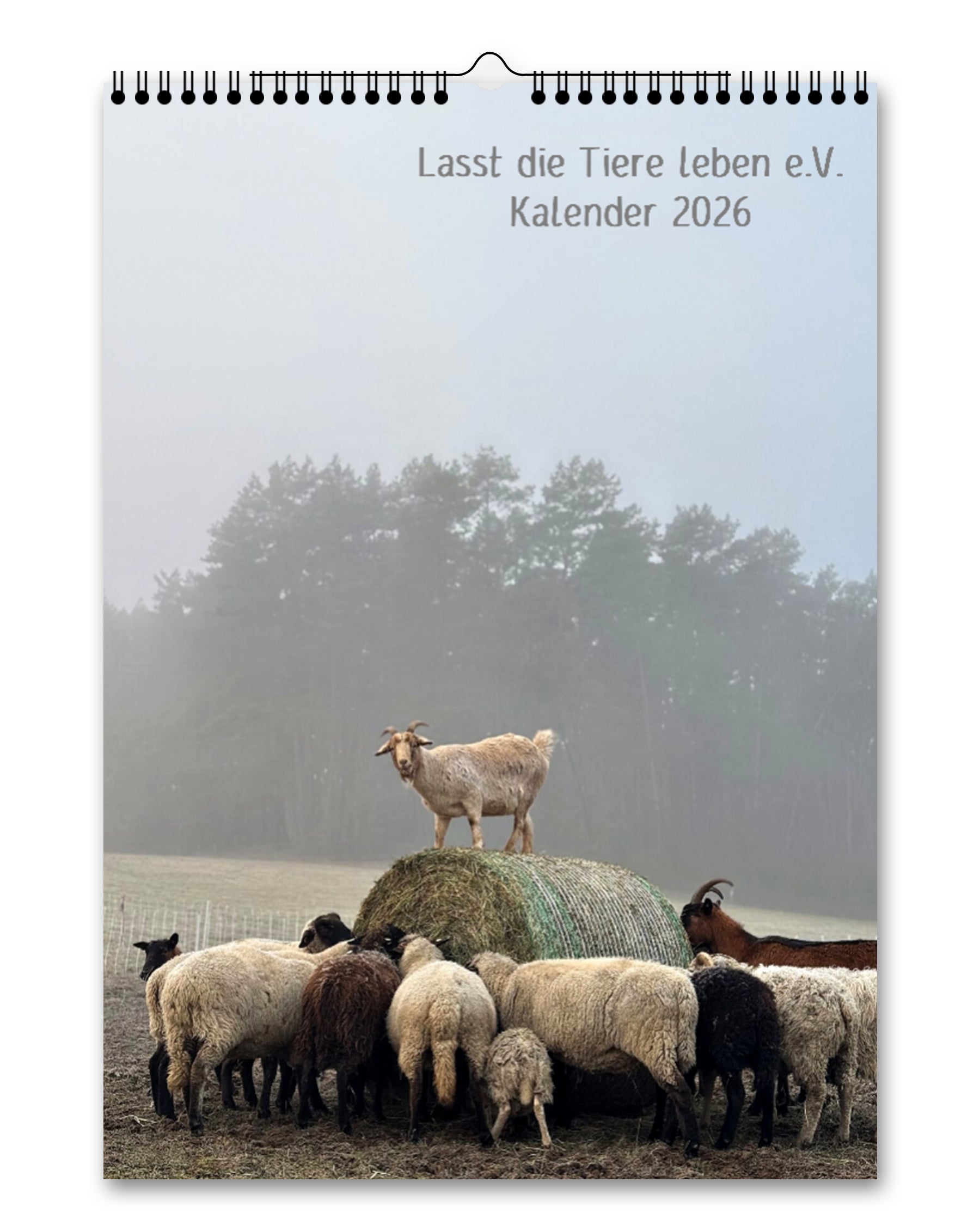 Lasst die Tiere leben