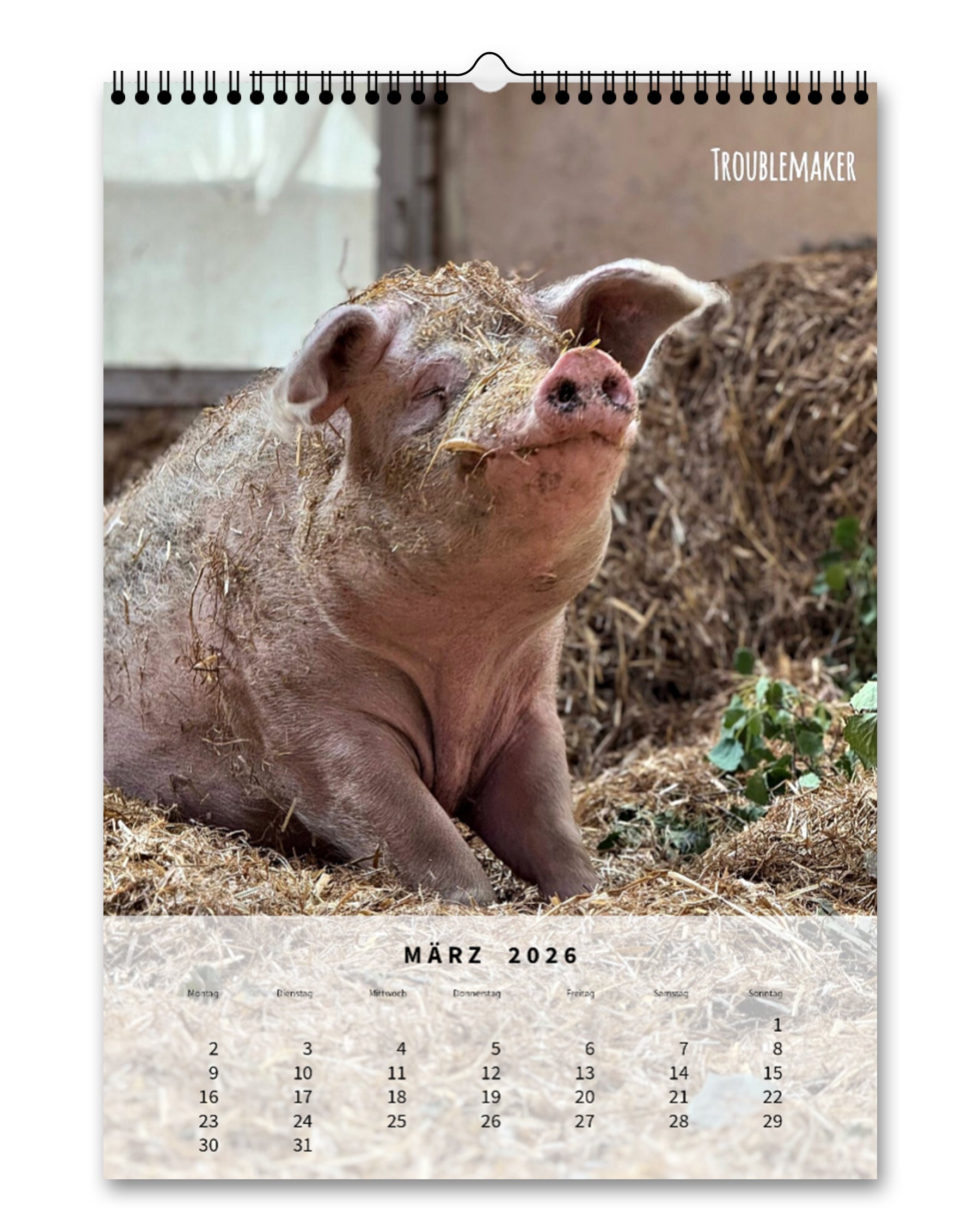 LDTL Wandkalender 2026