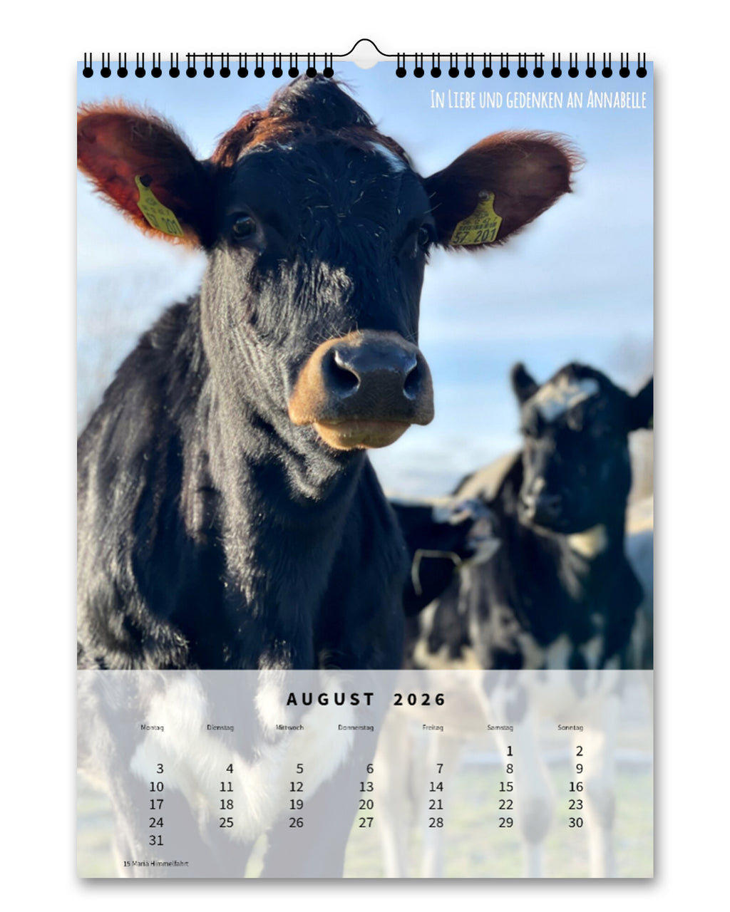 LDTL Wandkalender 2026