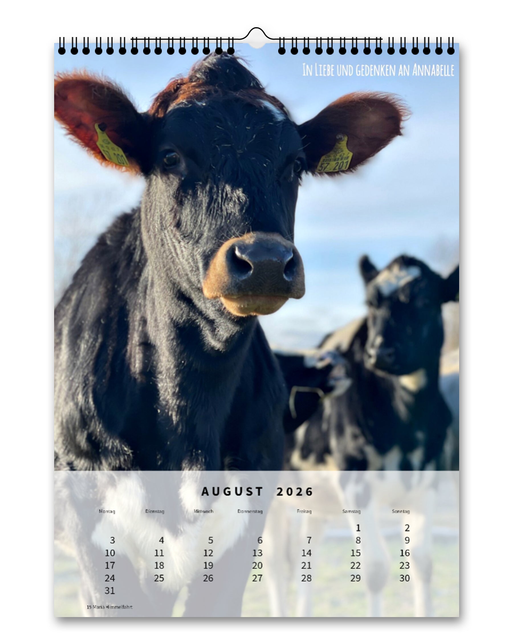 LDTL Wandkalender 2026