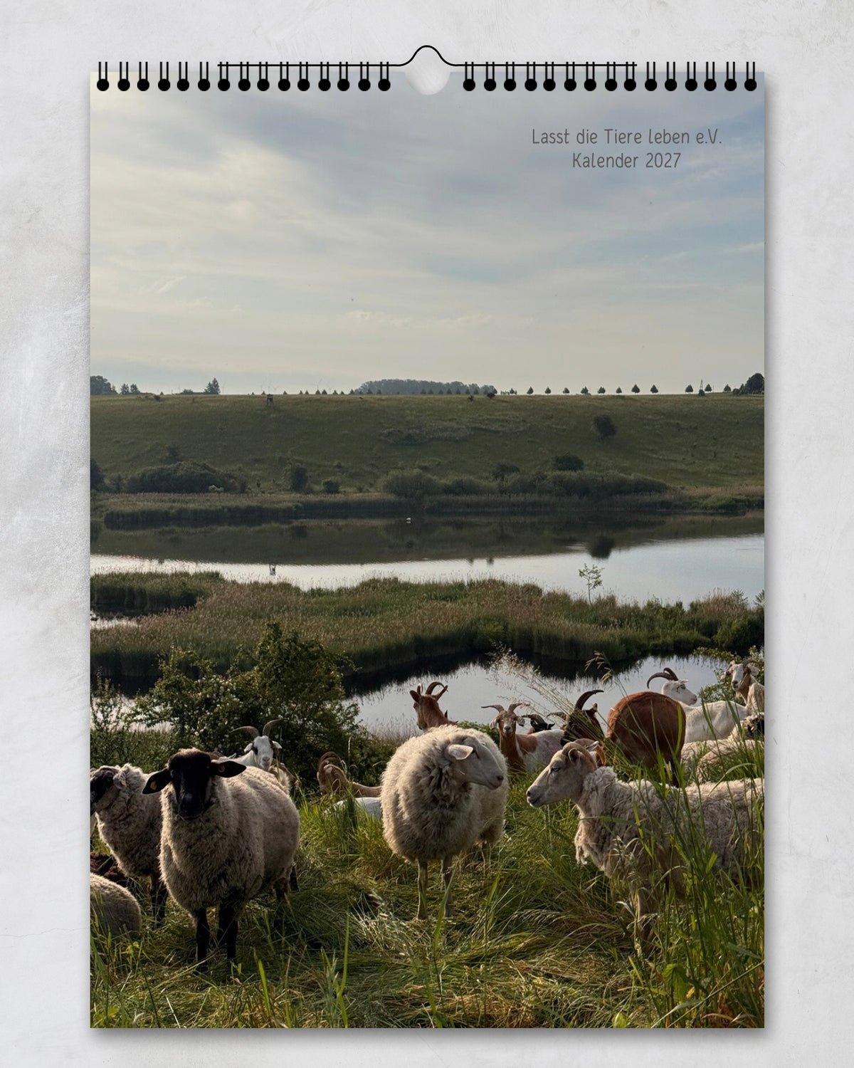 LDTL Wandkalender 2027