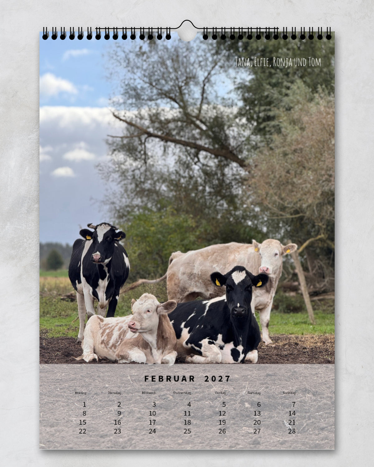 LDTL Wandkalender 2027