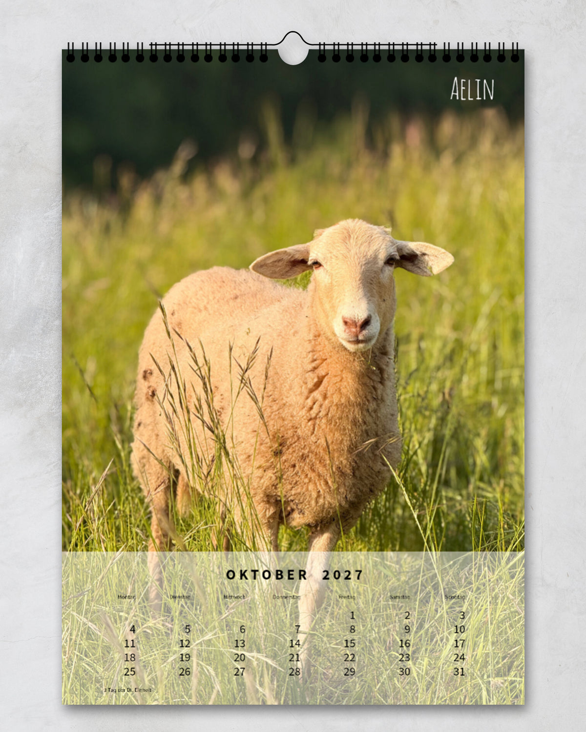 LDTL Wandkalender 2027