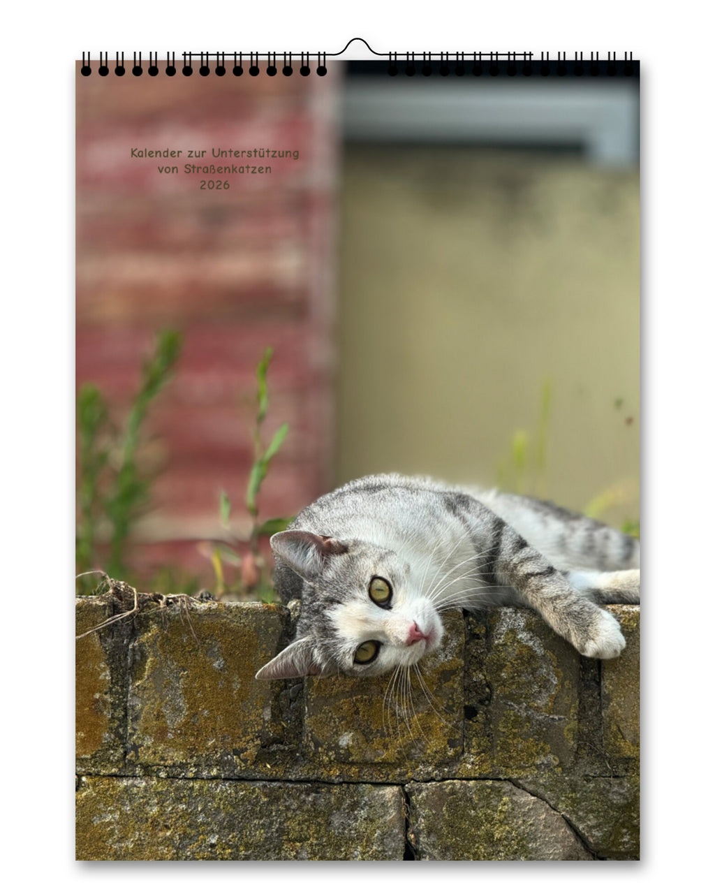 LDTL Katzen-Wandkalender 2026