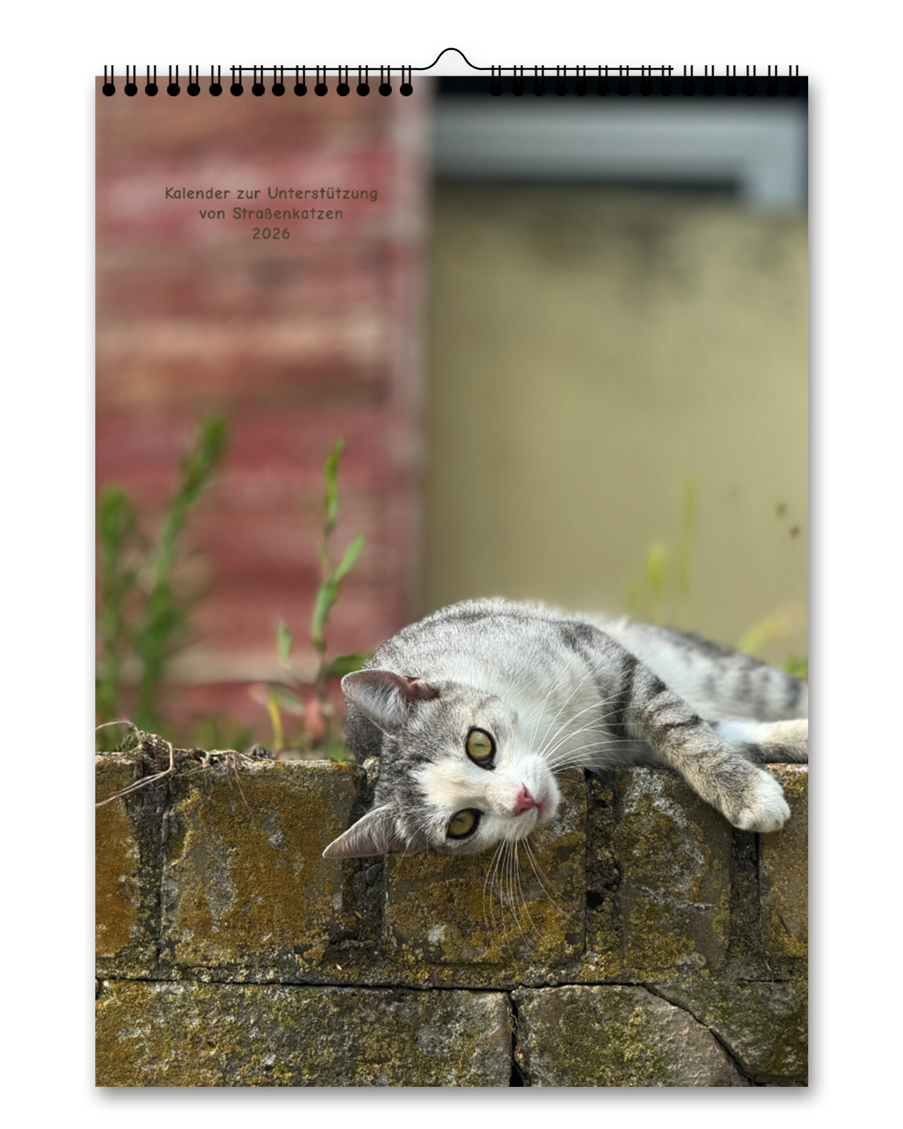 LDTL Katzen-Wandkalender 2026